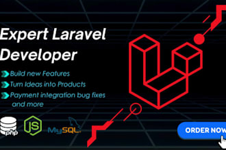 be your laravel developer, website developer, backend developer, full stack dev