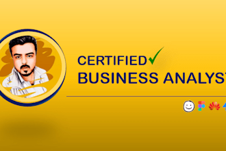 provide business and systems documentation analysis