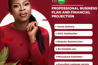 develop detailed sba and investor business plan for startups