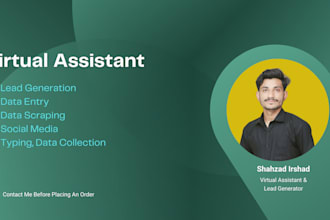 be your virtual assistant for data entry and lead generation
