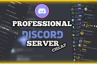 setup or edit your discord server professionally