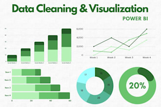 transform data into insights and power bi visualization