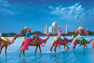 assist you in any errand in india