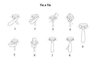 do line drawing, illustration for manual, website