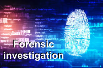 provide digital forensic investigation services