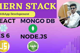 website developement mern stack and node api integration