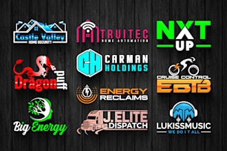 do timeless modern 2d and 3d business logo design in 12 hour