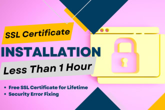 install SSL certificate within 30 minutes