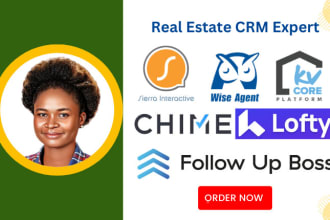 setup lofty CRM website, boldtrail, kvcore, lofty, follow up boss, kv core CRM