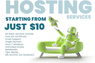 provide you domain web hosting services