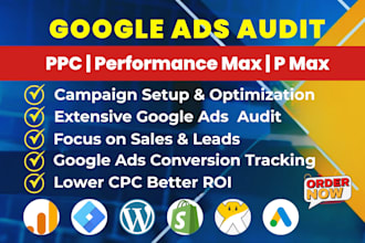 audit and optimize google ads PPC campaign, performance max for local business