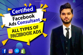 be your facebook ads consultant or fb and instagram ad manager
