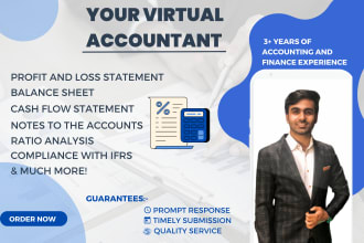 prepare financial statements, balance sheets, profit and loss etc