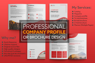 do corporate brochure, company profile, business proposal design