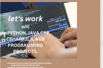 do python, java, cpp,csharp, c, r, web programming projects