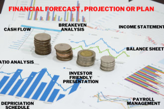 prepare a financial forecast, projection or plan
