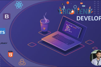 develop your web app and API integration using react js or next js and redux