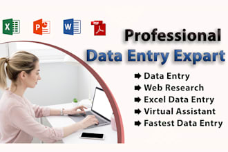 do professional and accurate excel data entry services