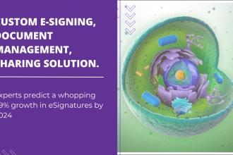 develop esignature solution as per USA and eu law