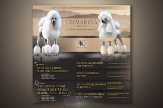 design stud dog advert, litter announcement advert or flyer