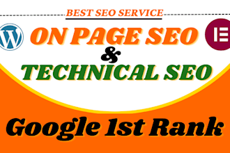 do advance complete on page SEO and technical optimization of wordpress website