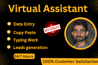 do professional virtual assistants and data entry specialist