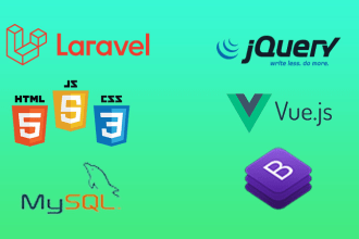 give full stack web development services for custom solution