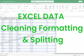do excel data cleaning and formatting, split
