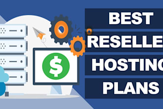 provide you reseller web hosting services