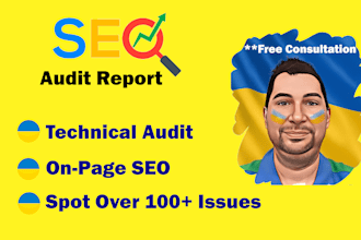 do SEO audit website, technical audit report 100 errors site