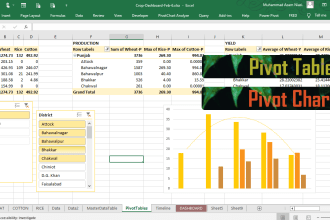 use excel  to develop charts, pivot tables, dashboards, etc
