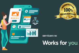 provide services as servicenow developer and administrator