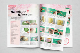 design book, cookbook, fitness magazine print PDF, amazon kindle, ebook