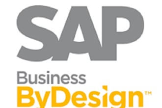 sap bydesgin technical services