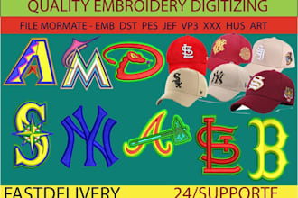 do 3d puff embroidery digitizing logo few hours