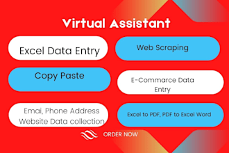 do typing work of web scraping data mining copy paste