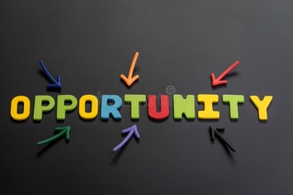search and apply 100 remote jobs for you