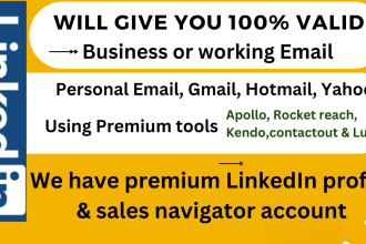 do linkedin lead generation,web search,target business,person emails,data entry