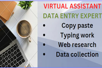 be your medical virtual assistant, data entry as a pharmacist