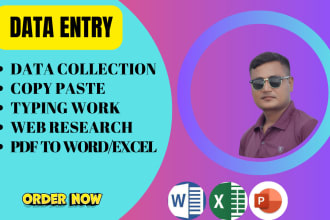 do data entry, web research, copy paste for USA company