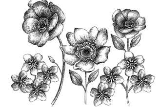 draw a unique dot illustration