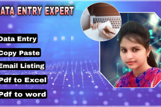 do input data entry copy paste excel data entry