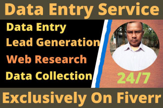 data entry, lead generation and web research for you