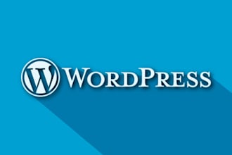 develop or customize wordpress project