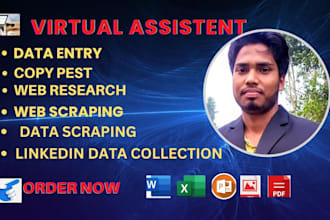 do absolute data entry, copy paste and web research