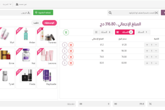 create professional web app