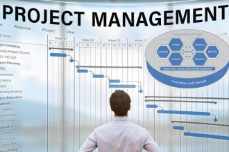 do your project management tasks using ms project