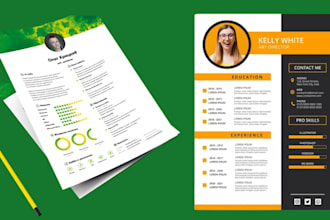 provide professional resume cv writing services also write cover letter linkedin