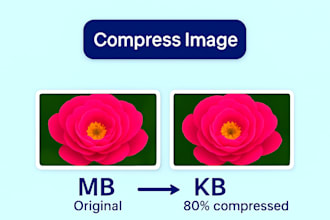 optimize, compress images for web