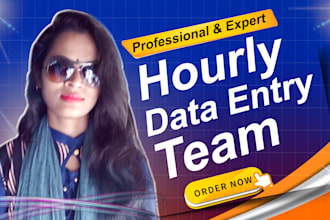 do hourly data entry job with data entry expert team